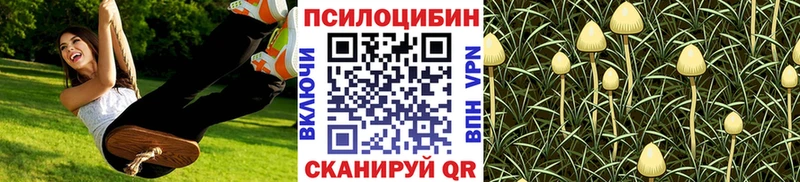 Псилоцибиновые грибы прущие грибы  Лесосибирск 