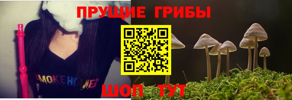 Галлюциногенные грибы прущие грибы  Вход с VPN  Лесосибирск  Галлюциногенные грибы GOLDEN TEACHER 